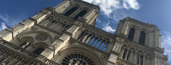 Kathedrale Notre-Dame de Paris is one of Orte, die Carlos gefallen.