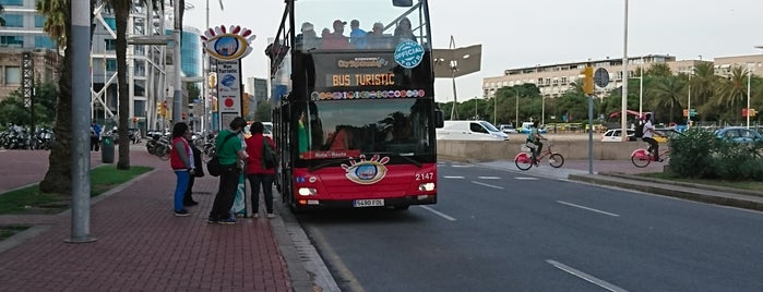 Barcelona Bus Turístic is one of สถานที่ที่ Louise ถูกใจ.