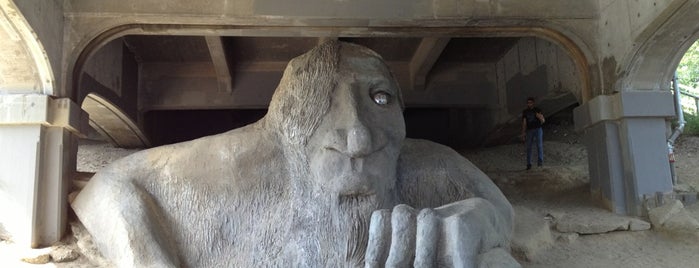The Fremont Troll is one of ~*Seattle*~.