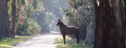 Cumberland Island is one of Back to Nature: Outdoor Attractions in Georgia.