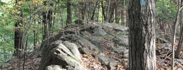 Rocky Top Ridge Trail is one of Civil War Battle Sites in Georgia.