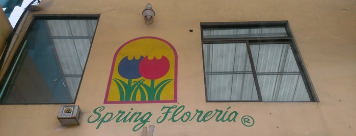 Spring Floreria is one of Tanya 님이 좋아한 장소.