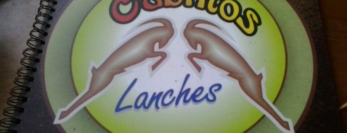 Cabritos Lanches is one of Locais curtidos por Ricardo.