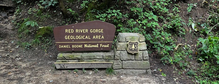 Red River Gorge is one of Climbing.