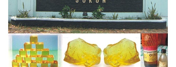 Pabrik Gondo Rukem Sukun pnrgo is one of Ponorogo.