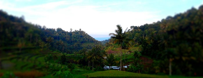 Telaga Ngebel, Ponorogo is one of Ponorogo.