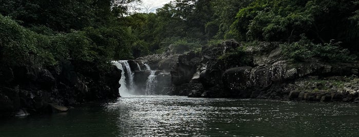 GRSE Waterfalls is one of Mauritius.
