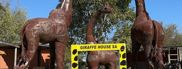 Giraffe House is one of Capetown.