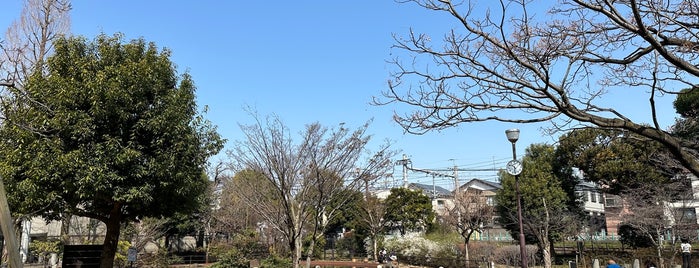 Ochiai Park is one of 行きたい.