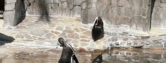 Edogawa City Shizen Zoo is one of ペンギンがいるスポット.
