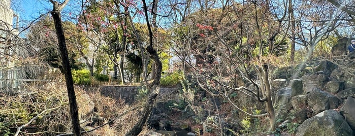 紅葉山公園 is one of 散歩.