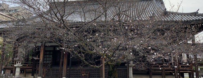 本法寺 is one of 日蓮宗の祖山・霊跡・由緒寺院.