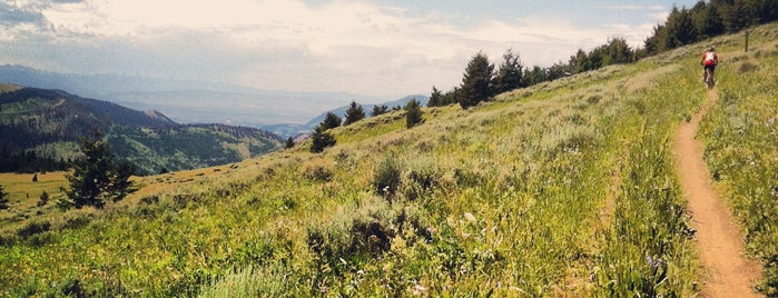Bangtail Divide Trail is one of The Best of Bozeman.