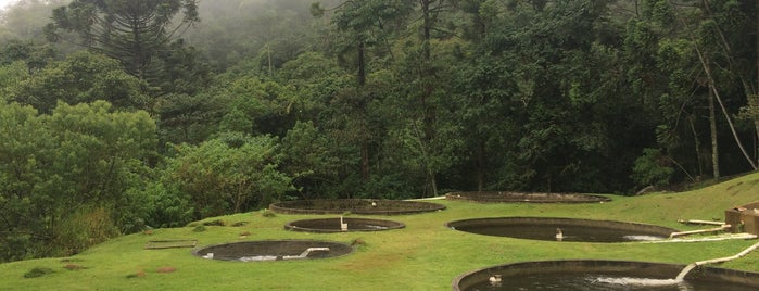 Serra das Águas - Truta & Cia is one of São Francisco Xavier.