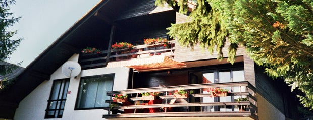 Aparth House Ani is one of Accommodation in Radovljica, near Bled.