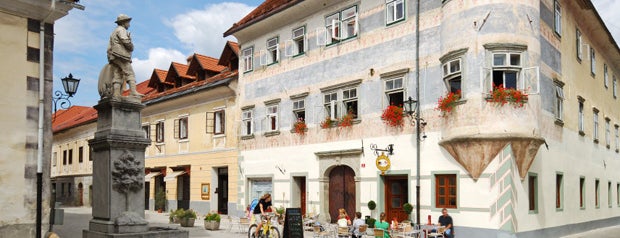 Youth Hostel Vidic is one of Accommodation in Radovljica, near Bled.