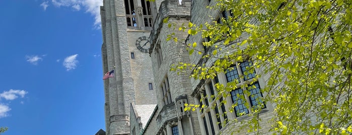 University Hall is one of Must Do in Toledo.