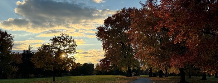 Ottawa Park is one of Parks in Toledo.