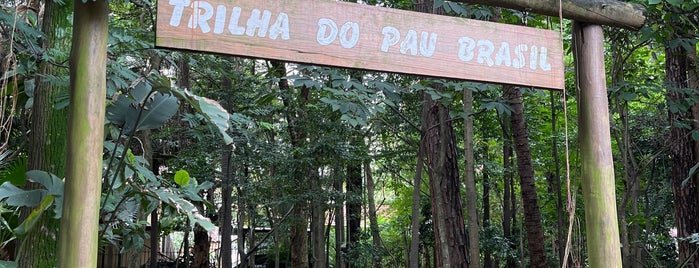 Trilha do Pau Brasil is one of South America.