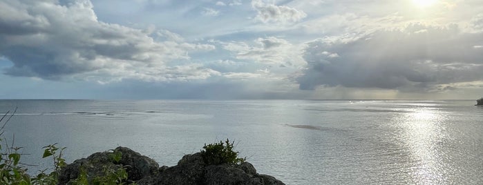 Macondee Viewpoint is one of MRU #MAURITIUS.