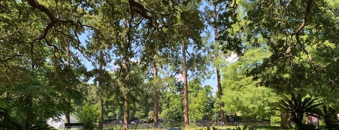 Audubon Park Entrance Pavilion is one of Athena's favorite places.