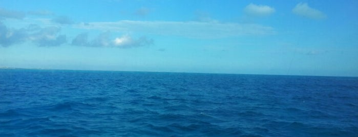 Caribbean Sea is one of México (Riviera Maya).