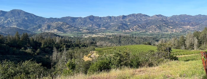 The Vineyardist is one of Cali Coast Road Trip.