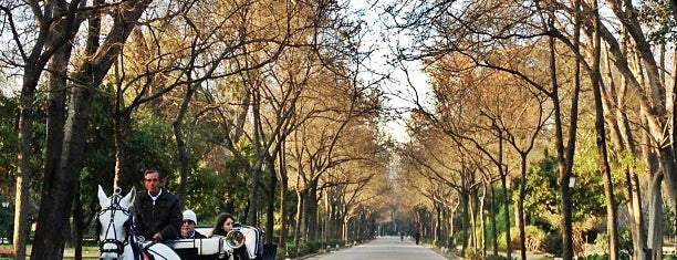 Parque de María Luisa is one of Sevilla travel tips.