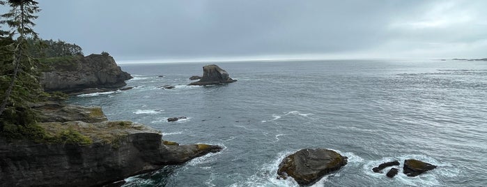 Cape Flattery Trail is one of Orte, die Angela Isabel gefallen.