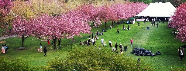 Brooklyn Botanic Garden is one of NYC.