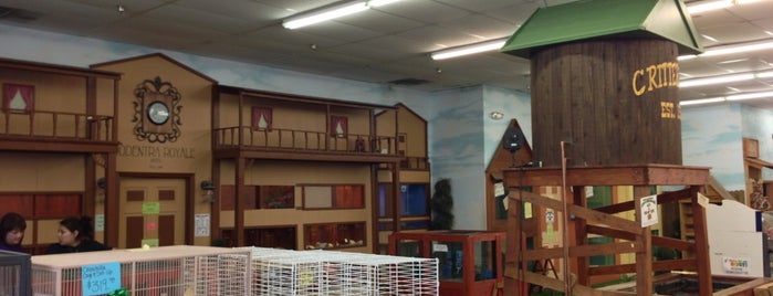 Polly's Pet Shop is one of Locais curtidos por Rada.