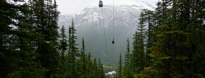Sulphur Mountain Trail is one of Samantaさんのお気に入りスポット.