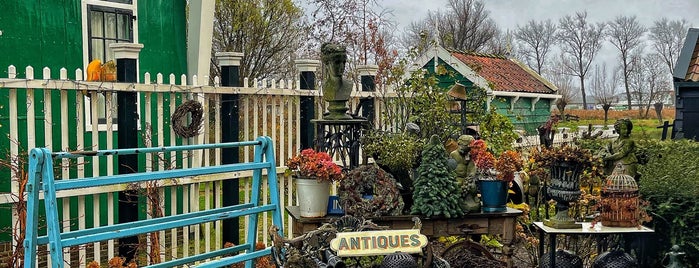 Wildschut Antiques & Oddities is one of AMS Activities.