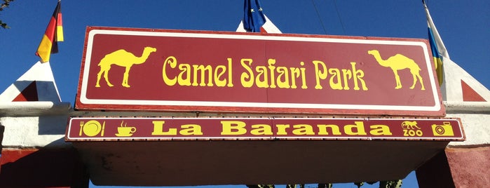 Camel Safari Park is one of Gran Canaria, Spain.