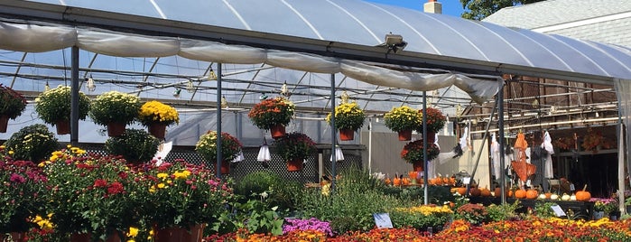 Araujo Farms & Greenhouses is one of Favorites.
