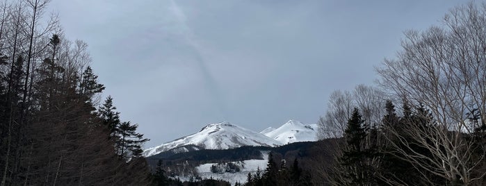Mt. Norikura Snow Resort is one of 遊ぶ (Play).