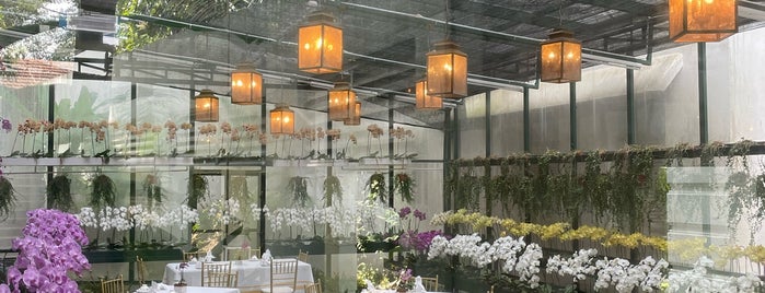 The Orchid Conservatory is one of Cafes around KL.
