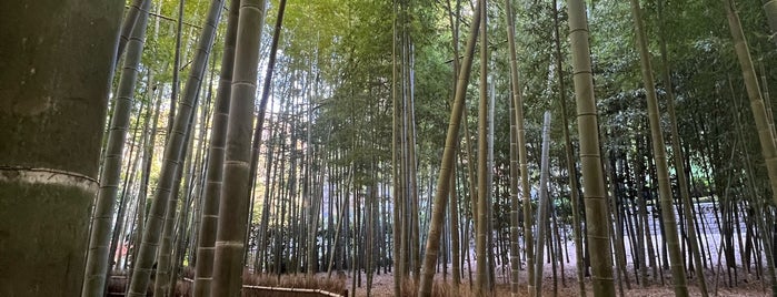 竹の庭 is one of Japan.