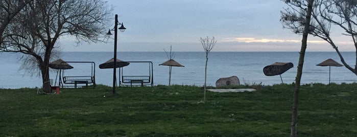 Diva Cafe & Beach is one of Çatalca.