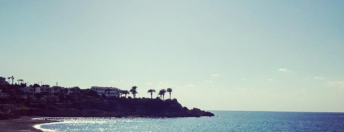 Potima Bay is one of New in paphos.