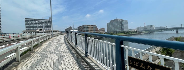 漣橋 is one of 東京橋 ～下町編～.