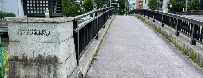 大島橋 is one of 渡った橋（東京都区内）.
