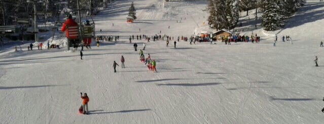 Scuola Italiana Sci e Snowboard Azzurra is one of Winter in Val di Sole.