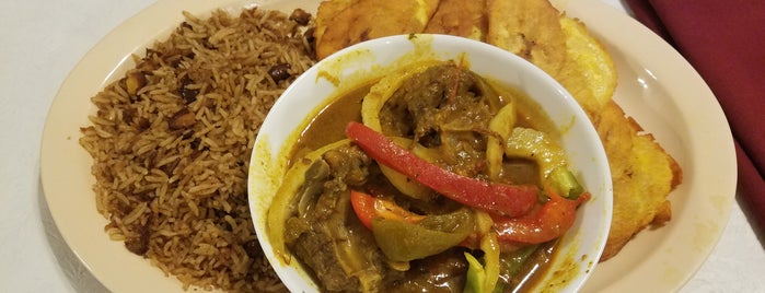 Taste of Haiti Soul Food is one of My specials.