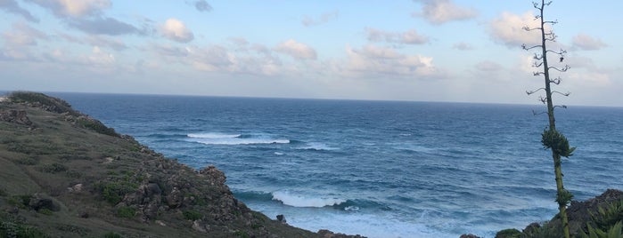 Ragged Point is one of Barbados.