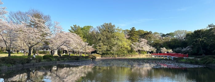 Iwatsuki Jyoshi Park is one of Locais curtidos por Masahiro.