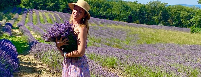 Lavender Field Simiane La Rotonde is one of ^^FR^^.