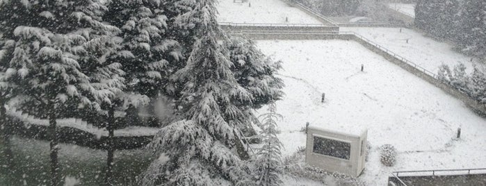 Funda Mahallesi is one of Lieux qui ont plu à Aydın.