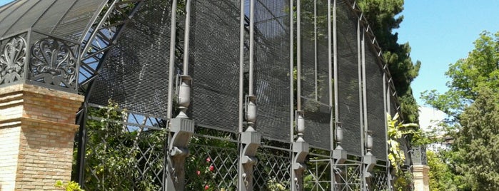 Jardín Botánico is one of Valencia.