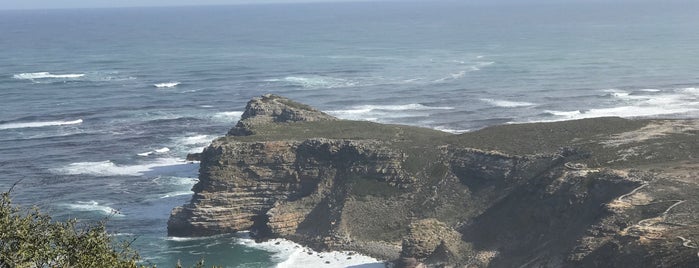 Cape Point Nature Reserve is one of Paige : понравившиеся места.